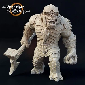 Troll Di Guerra Torr Mislar - 28mm Tabletop SDA D&D Pathfinder DSA - Bild 1 von 1