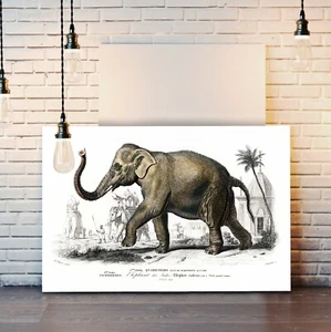 ELEFANTE LONA ARTE PARED IMAGEN IMPRESIÓN OBRA DE ARTE ANIMAL ENMARCADO PROFUNDO - Imagen 1 de 4