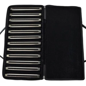 EASTTOP 24Hole Tremolo Harmonica Set T2403-12 Polyphonic Harmonica Mouth Organ - Picture 1 of 7