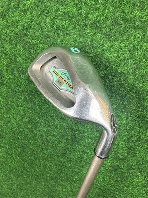 CALLAWAY Big Bertha 9-Eisen - Damen (Graphit, 35 Zoll, Rechts, Ladies Flex) - Bild 1 von 4