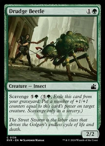 x1 Drudge Beetle - Ravnica Remastered - NM - MTG - Picture 1 of 1