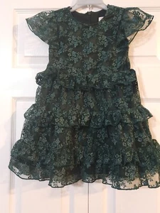 NWT Rachel Parcell Green Park Metallic Embroidered Holiday Dress Size 4! - Picture 1 of 5