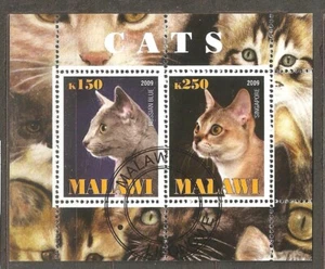 Malawi: used (CTO) block of 2 stamps, Cats, 2008 - Picture 1 of 1
