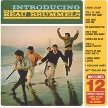 Introducing the Beau Brummels von the Beau Brummels | CD | Zustand sehr gut - Bild 1 von 2