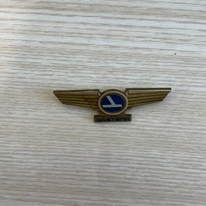 Eastern Airlines Flight Attendant Brown Blue Casual Badge Brooches Pins - Picture 1 of 2