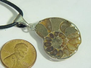 BUTW Plata Ammonita Nautiloide Fósil Collar Joyería 8323B - Imagen 1 de 1