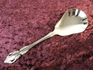 BRAHMS Large Casserole Serving Spoon Oneida Community Stainless Steel NICE - Picture 1 of 3