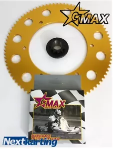 Rotax Max Drive System 1 x12 T Engine Sprocket, Chain,Rear Sprocket NextKarting - Foto 1 di 10