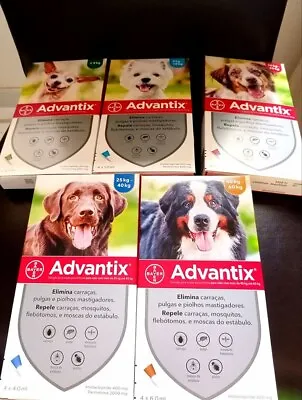 ADVANTIX¹chien Dog 1-60 Kg Protection Externe Parasite Flea Boite 4 Pipettes  • 30.10€