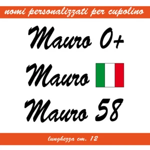 VORGESPANNTE AUFKLEBER FÜR MOTORRAD WINDSCHUTZSCHEIBE MIT NAMEN PERSONALISIERBAR 12x3 cm - Bild 1 von 4