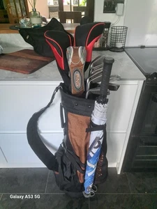 SUPERB FULL SET OF LADIES PING RHAPSODY & YONEX EZONE GOLF CLUBS, RIGHT HANDED - Picture 1 of 21