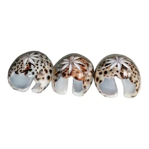 Shell Napkin Holders Set Of 3 Tiger Cowrie Rings Vtg Vgc - Picture 1 of 3