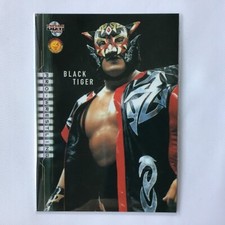 BBM Wrestling Card 2002 Black Tiger III Silver King NJPW CMLL AAA No.39