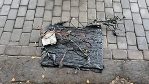 Arnés de cableado telar motor Ford Sierra Pinto 2.0 + tipo carburador ECU - Imagen 1 de 17