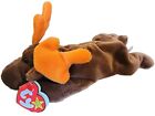 Ty Beanie Babies Chocolate The Moose With Hang Tags Free Fast Shipping