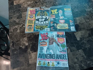 WWE WRESTLING 2010's lot of 3 magazines NEW - Picture 1 of 12