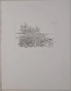 Jens Cords /Radierung/handsigniert/ Edition Griffelkunst Hamburg 212 C 2 - Bild 1 von 2