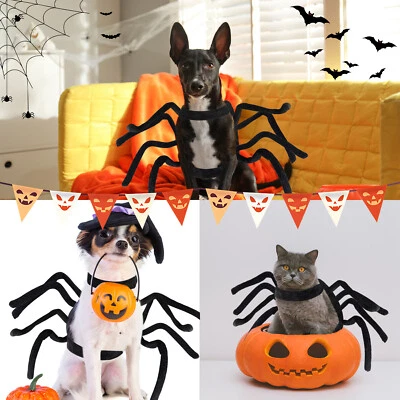 Halloween Spider/Bat Pet Costume/Xmas Santa Hoodie Coat Cosplay Clothes Cat Dog - Image 1 of 4