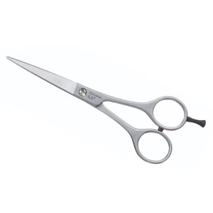 Profi-Haarschere für präzise Schnitte: EC 5,5 Zoll mit microverzahnter Schneide - Bild 1 von 10