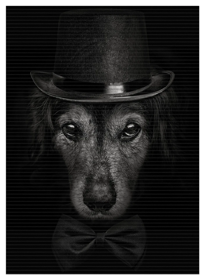 Wallario Duschmatte Bad Teppich Vorleger Eleganter Hund Zylinder schwarz-weiß - Bild 1 von 1