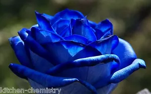Horticultural Dye for feeding, producing blue cut roses, flowers powdered colour