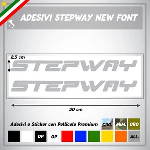 2 ADESIVI DACIA SANDERO STEPWAY Sportello Auto Decal Stickers Tuning Emblema - Imagen 1 de 1