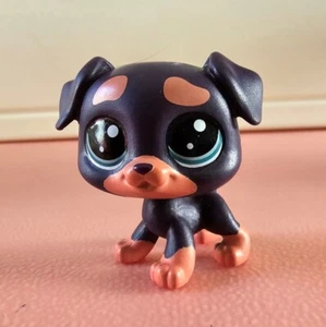 Rottweiler Short Tail Littlest Pet Shop Hasbro Dark Brown Dog lps blue Eyes - Picture 1 of 5