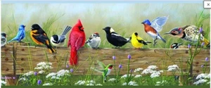 Wallpaper Border Songbird Cute Bird Menagerie Portrait Border Birds PUR44671B - Picture 1 of 1