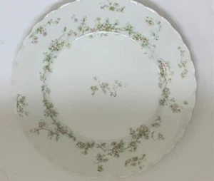 RARE Haviland France Limoges 8.5" Dinner/Salad Plate(s) Schleiger Floral 74 - Picture 1 of 4