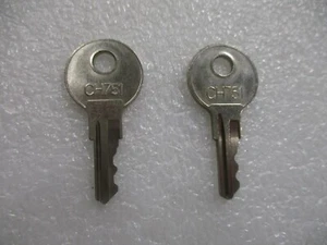 CH751 Key Pair (2) Keys  - Imagen 1 de 2