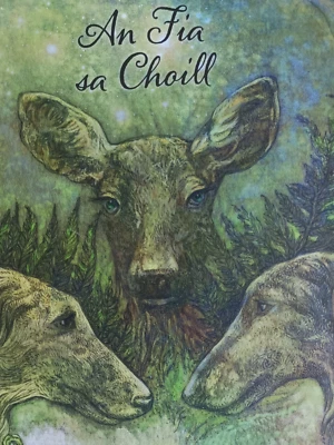 An Fia sa Choill Irish Language Book | ISBN 9781915684165 | Gaeilge Tale - Image 1 of 3