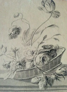 ANTICO DISEGNO MAESTRO 'Fiori' - 1775 circa - Piera, Foll. di Maria Sibilla Merian - Foto 1 di 4
