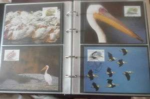 UKRAINE 2007 PELICANS WWF MAXIMUM CARD SET OF 4 - Picture 1 of 2