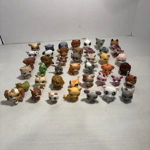 Vintage Littlest Pet Shop enorme lotto di 40+ cane gatto raro autentico - Foto 1 di 7