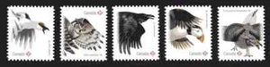 Canada Scott #2930i-2934i - Birds of Canada-1 - Die Cut to Shape - Picture 1 of 1