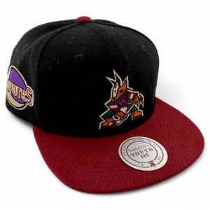 Mitchell & Ness Arizona Coyotes NHL Core Youth Fit Snapback Adjustable Hat Kids - Picture 1 of 6