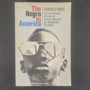 The Negro In America by Arnold Rose 1964 Harper Torchbooks PB - Picture 1 of 5