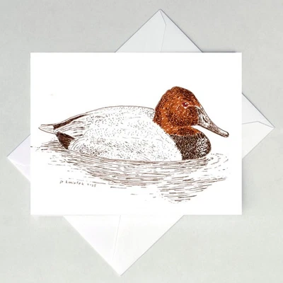 Canvasback Note Card, утка - Изображение 1 из 2