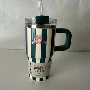 Stanley Quencher Emerald Stripe Pink Logo Cabana Gloss Tumbler  20oz - Picture 1 of 6