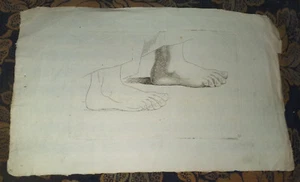 ANATOMIA piedi incisione seicentesca - Imagen 1 de 3