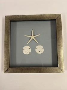 Beach House Decor / Art Work Star Fish And Sand Dollar Shadow Box - Picture 1 of 3