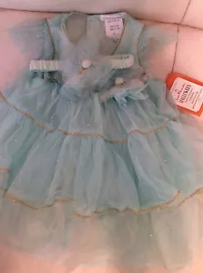 Pottery Barn Kids Baby Flapper Mint Tulle Dress Halloween Costume 6-12 mo Purim - Picture 1 of 1