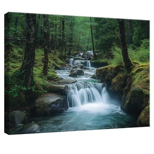 Leinwand Bilder Wasserfall Wald Natur Wandbilder Groß Leinwandbild XXL Bilder - Bild 1 von 7