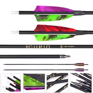 12pc 32" Archery Turkey Feathers Fletched Pure Carbon Arrows for Hunting Target - Picture 1 of 10