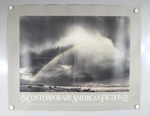 Zeitgenössische amerikanische Fiktion von Penguin Promo Poster - 19x24 A13-U2 - Bild 1 von 6