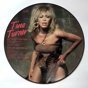 TINA TURNER*PICTURE*DISC*LP*33T* *1983*CAPITOL*RARE*COLLECTOR*VINTAGE - Picture 1 of 6