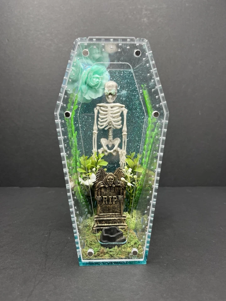 Gabinete de aranha saltadora caixão esqueleto azul  - Imagem 1 de 1