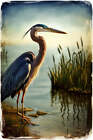 Blue Heron in A Scenic Landscape Photograph Art Print - 12 x 18 inches