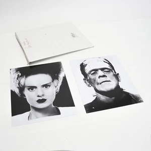 Braut von Frankenstein Boris Karloff Elsa Lanchester 8 x 10 Fotos Konvolut Retro - Bild 1 von 7