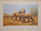 Two Russell Johnson Lions And Cheetahs S/N Ltd. Ed. Prints 24X18"  W/Coa For 1